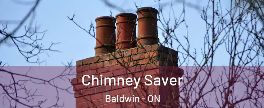  Chimney Saver Baldwin - ON