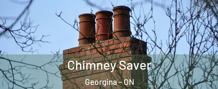  Chimney Saver Georgina - ON