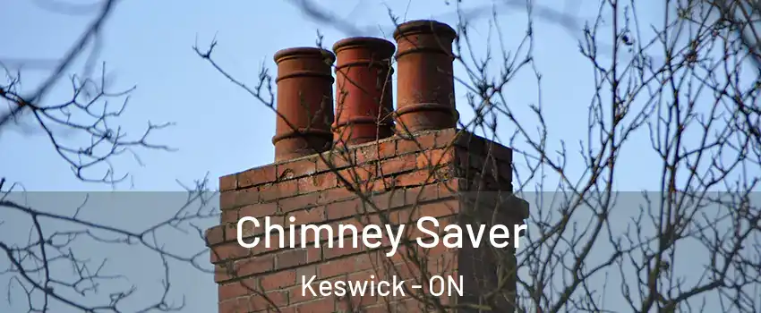  Chimney Saver Keswick - ON
