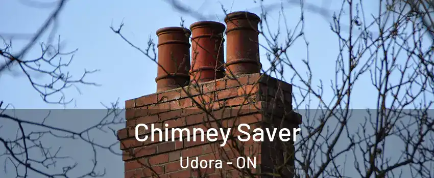  Chimney Saver Udora - ON