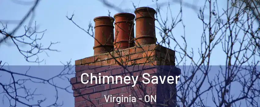  Chimney Saver Virginia - ON