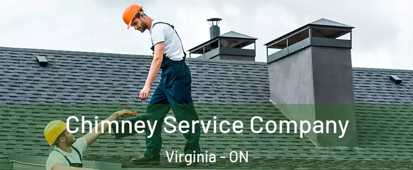  Chimney Service Company Virginia - ON
