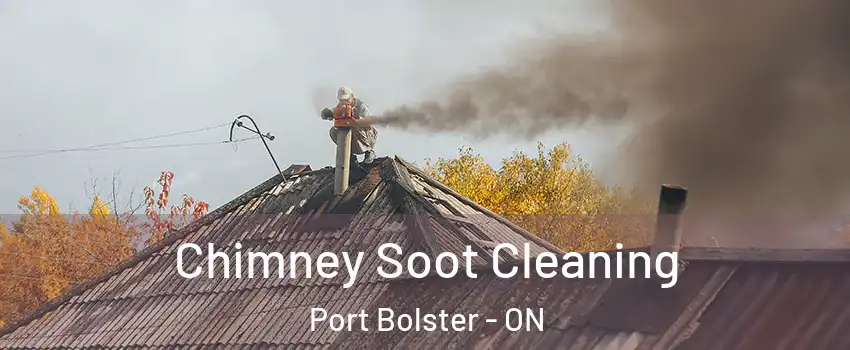  Chimney Soot Cleaning Port Bolster - ON