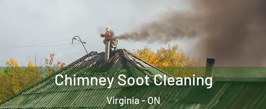  Chimney Soot Cleaning Virginia - ON