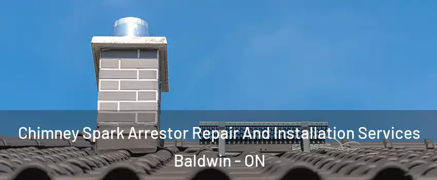  Chimney Spark Arrestor Repair And Installation Services Baldwin - ON