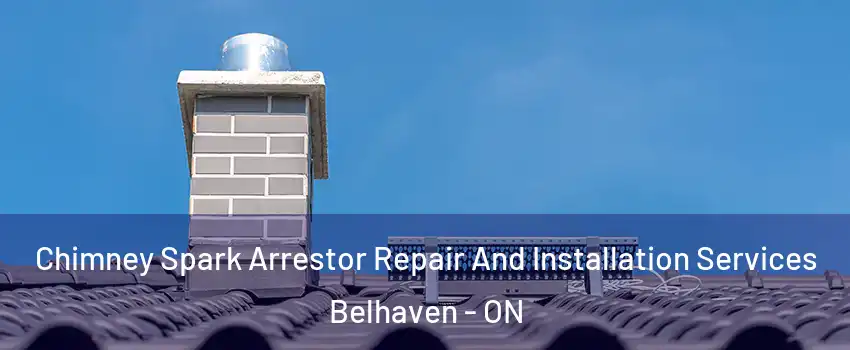  Chimney Spark Arrestor Repair And Installation Services Belhaven - ON