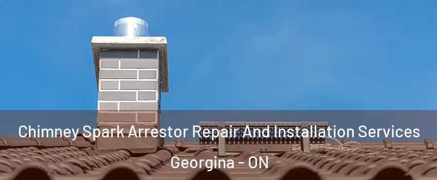  Chimney Spark Arrestor Repair And Installation Services Georgina - ON
