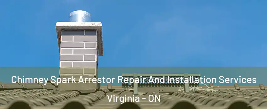  Chimney Spark Arrestor Repair And Installation Services Virginia - ON