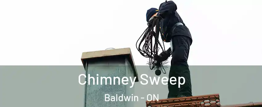  Chimney Sweep Baldwin - ON