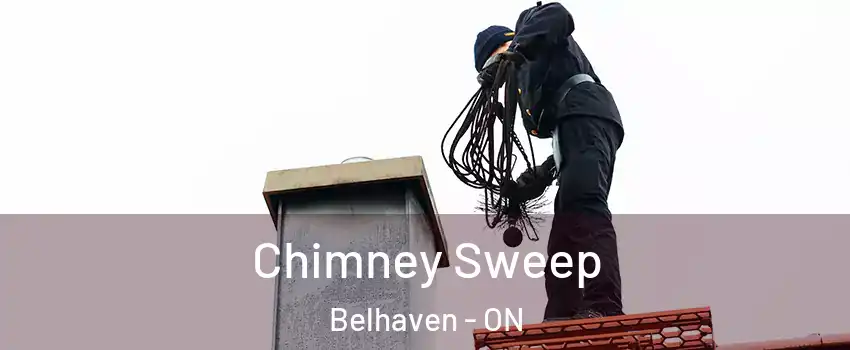  Chimney Sweep Belhaven - ON