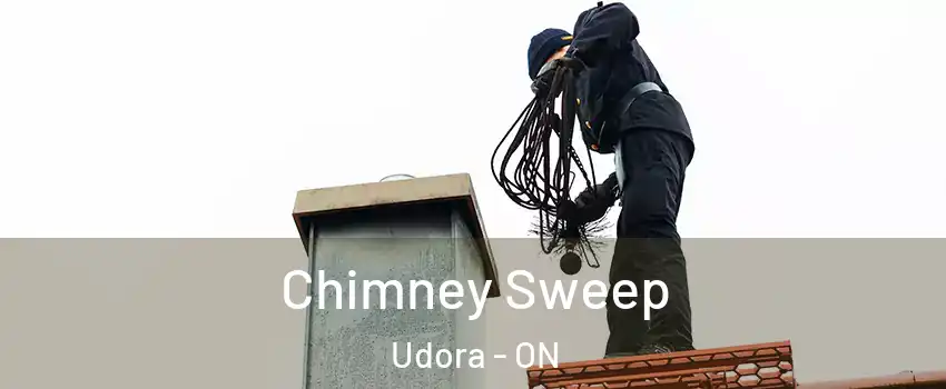  Chimney Sweep Udora - ON