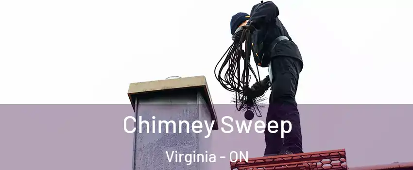  Chimney Sweep Virginia - ON