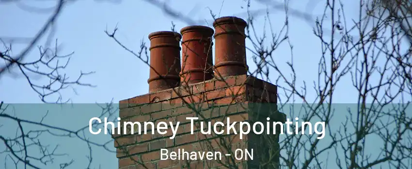  Chimney Tuckpointing Belhaven - ON