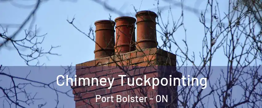  Chimney Tuckpointing Port Bolster - ON
