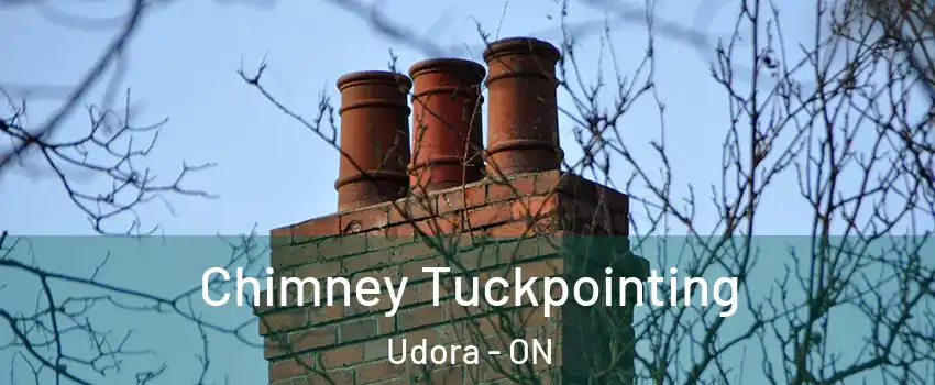  Chimney Tuckpointing Udora - ON
