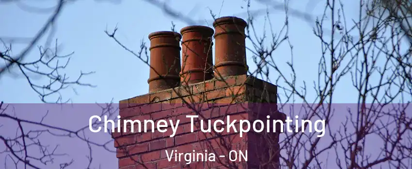  Chimney Tuckpointing Virginia - ON