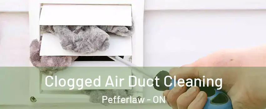  Clogged Air Duct Cleaning Pefferlaw - ON