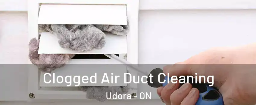  Clogged Air Duct Cleaning Udora - ON