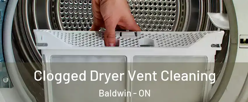  Clogged Dryer Vent Cleaning Baldwin - ON