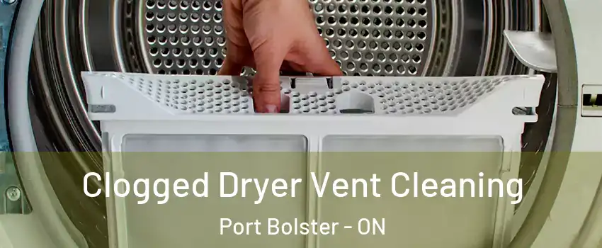  Clogged Dryer Vent Cleaning Port Bolster - ON