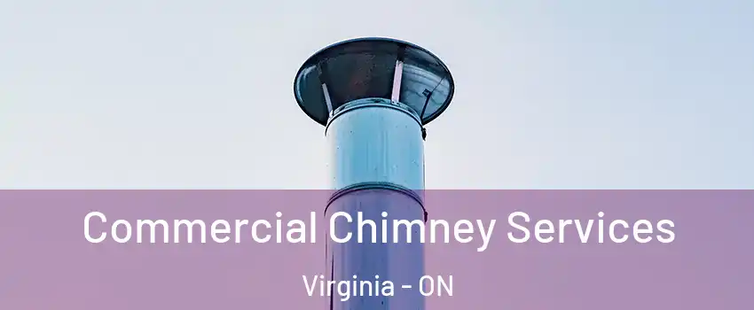  Commercial Chimney Services Virginia - ON