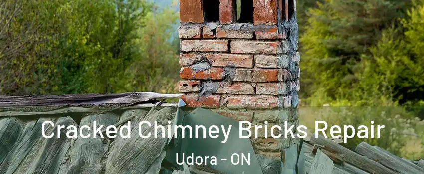 Cracked Chimney Bricks Repair Udora - ON