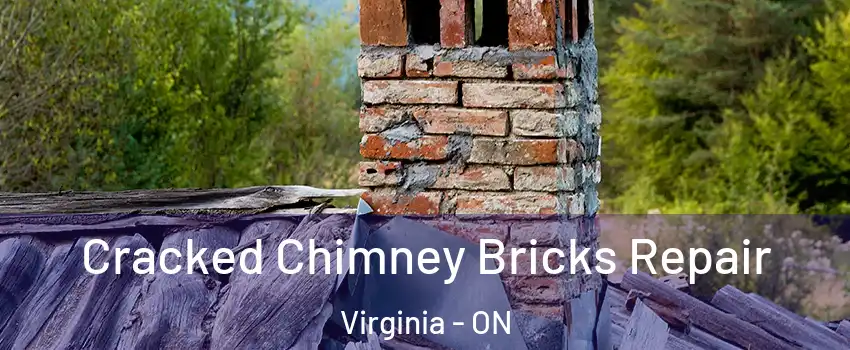  Cracked Chimney Bricks Repair Virginia - ON