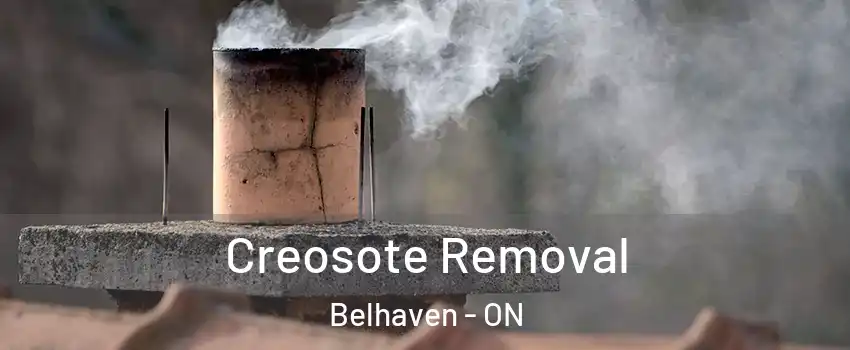  Creosote Removal Belhaven - ON