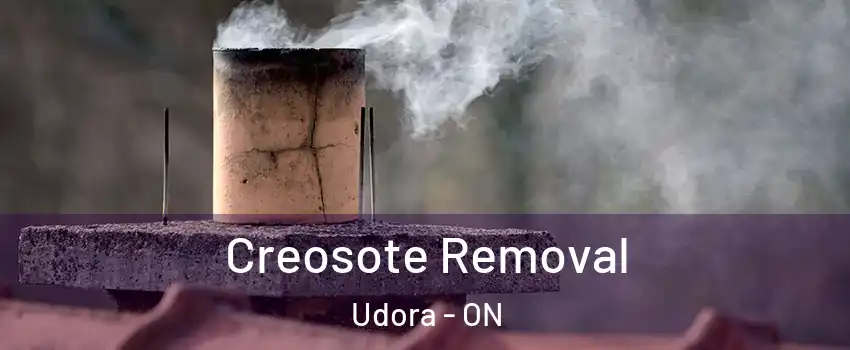  Creosote Removal Udora - ON
