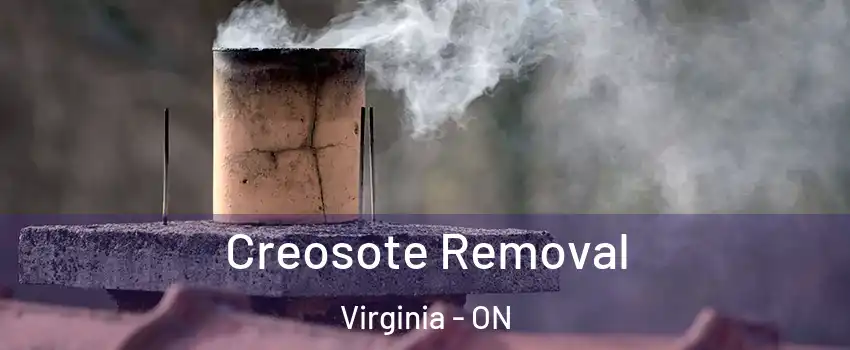  Creosote Removal Virginia - ON