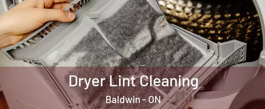  Dryer Lint Cleaning Baldwin - ON