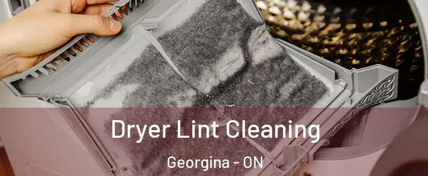  Dryer Lint Cleaning Georgina - ON