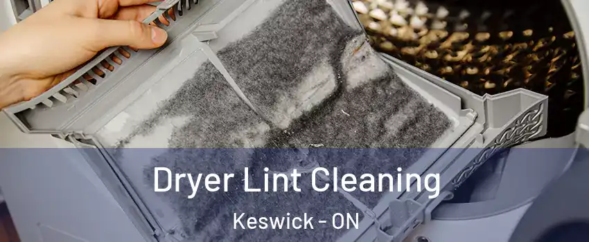  Dryer Lint Cleaning Keswick - ON