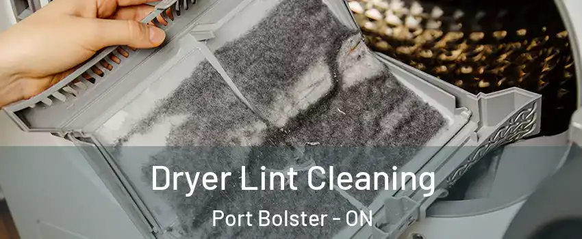  Dryer Lint Cleaning Port Bolster - ON