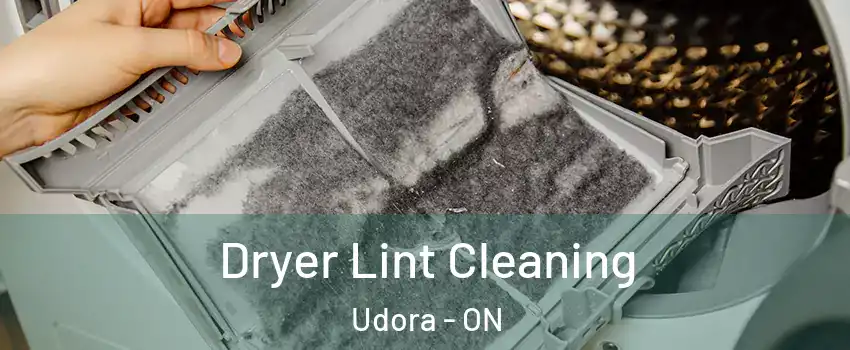 Dryer Lint Cleaning Udora - ON