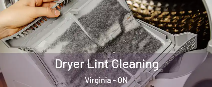  Dryer Lint Cleaning Virginia - ON