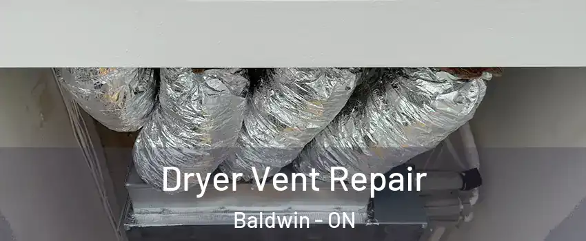  Dryer Vent Repair Baldwin - ON