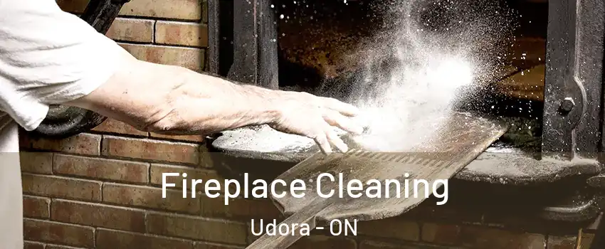  Fireplace Cleaning Udora - ON