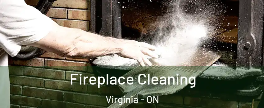  Fireplace Cleaning Virginia - ON