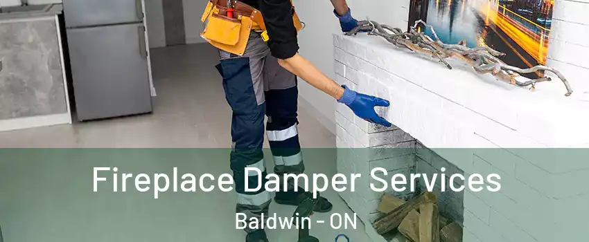  Fireplace Damper Services Baldwin - ON