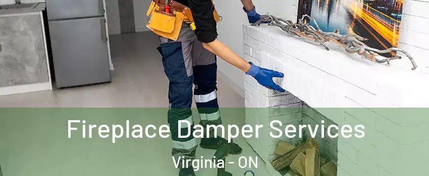  Fireplace Damper Services Virginia - ON