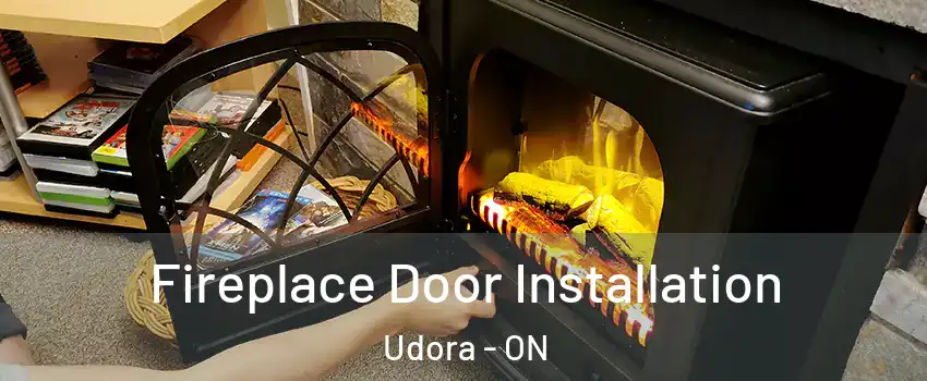  Fireplace Door Installation Udora - ON