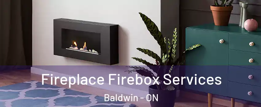  Fireplace Firebox Services Baldwin - ON