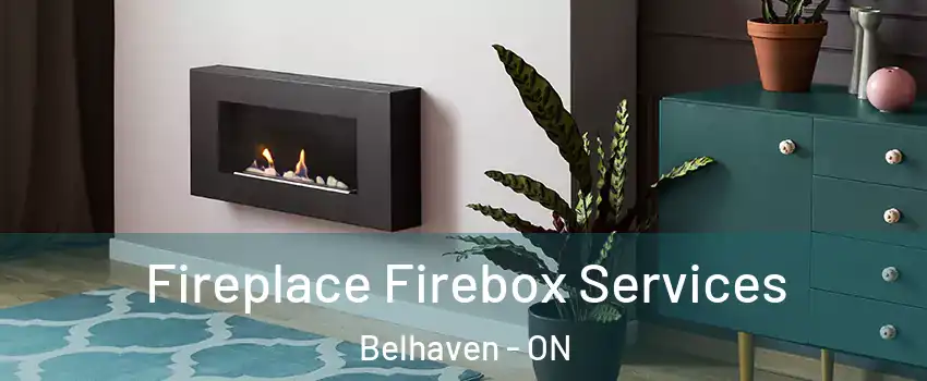  Fireplace Firebox Services Belhaven - ON