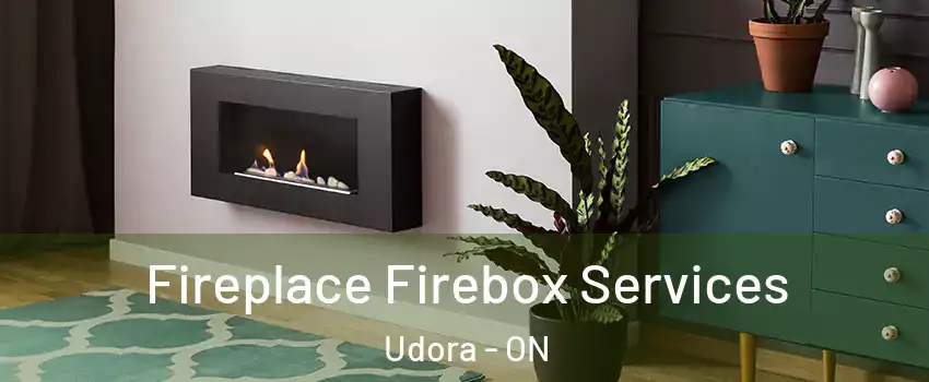  Fireplace Firebox Services Udora - ON
