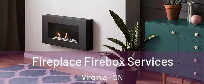  Fireplace Firebox Services Virginia - ON