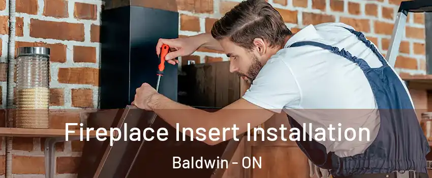  Fireplace Insert Installation Baldwin - ON