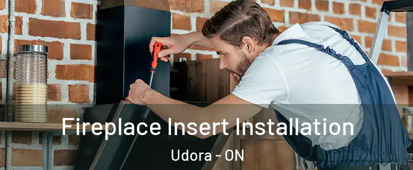  Fireplace Insert Installation Udora - ON