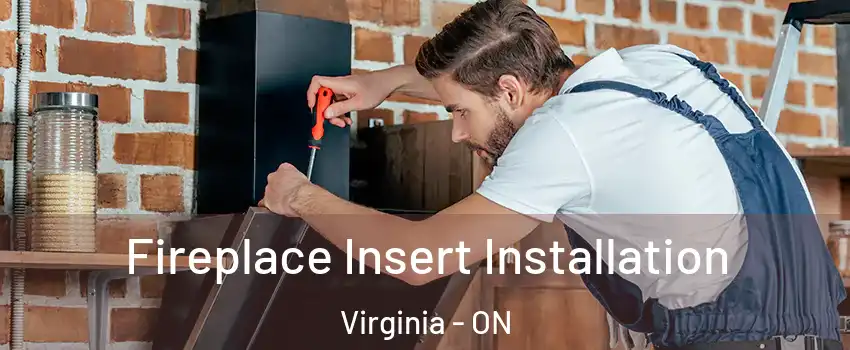  Fireplace Insert Installation Virginia - ON