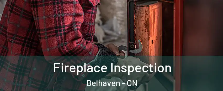  Fireplace Inspection Belhaven - ON
